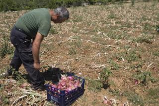 Immagine allegata alla scheda. Per averne una descrizione leggere i dettagli più in basso.